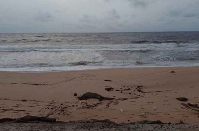 Beach front Land for Sale, Ambalangoda, Akurala - 16 Perches - 144 Mn