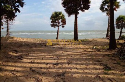 Beach Front Land for Sale in Mathagal - 320 Perches - Jaffna - 60 Mn