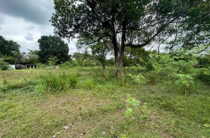 Prime Land for Sale in Pannipitiya - 277 Perches - 5.5 Mn PP