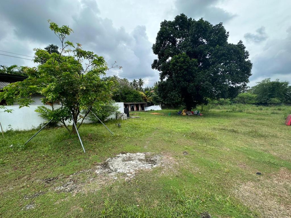 Prime Land for Sale in Pannipitiya - 277 Perches - 5.5 Mn PP