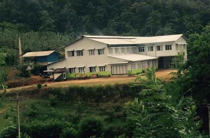 Running Tea Factory For Sale In Kithulgala - 18 Acres - 230 Mn